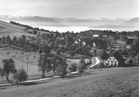 2015