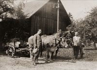 1925  Kniebreche, Langnau Bauer Leo Baumann mit Sohn Paul und einem Besucher.