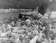 19.3.1895  Eisgang in der Sihl, bei Langnau