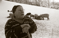 29.12.1993  Ringgerrain, Unteralbis  Walter Weber mit seinen Schafen