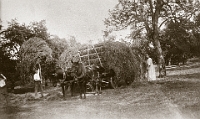 Um 1910  Im Wildenbühl  Hans und Elise Vollenweider mit Ernst Huber beim Heuen