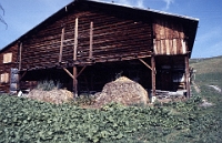 Schule Langnau 1989  Klassenlager 6. Kl. Obertschappina GR : Langnauer Klassenlager 6. Kl. Obertschappina GR