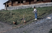 Schule Langnau 1989  Klassenlager 6. Kl. Obertschappina GR : Langnauer Klassenlager 6. Kl. Obertschappina GR