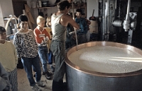 Schule Langnau 1989  Klassenlager 6. Kl. Obertschappina GR : Langnauer Klassenlager 6. Kl. Obertschappina GR