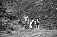 Schule Langnau 1982  Klassenlager 6. Kl. Obertschappina GR : Klassenlager 6. Kl. Obertschappina GR