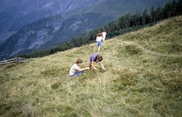 Schule Langnau 1982  Klassenlager 6. Kl. Obertschappina GR : Klassenlager 6. Kl. Obertschappina GR