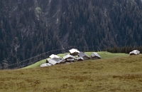 Schule Langnau 1986  Klassenlager 6. Kl. Obertschappina GR : Klassenlager 6. Kl. Obertschappina GR