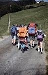 Schule Langnau 1992  Klassenlager 6. Kl. Obertschappina GR : Klassenlager 6. Kl. Obertschappina GR