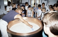 Schule Langnau 1992  Klassenlager 6. Kl. Obertschappina GR : Klassenlager 6. Kl. Obertschappina GR