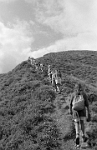 Schule Langnau 1995  Klassenlager 6. Kl. Obertschappina GR : Klassenlager 6. Kl. Obertschappina GR