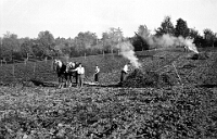 Langnau  1930 / Heinrich Gugolz auf dem Acker
