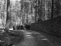 Langnau  1923 / Sihlwald Volkshochschul-Exkursion  im Langen Rain