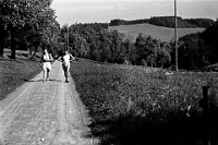 Langnau  / auf dem Heimweg in die Kniebreche