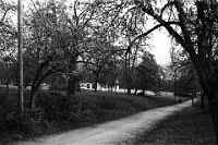 Langnau  um 1930 / Wolfgrabenstrasse
