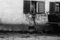 Langnau  um 1930 / Küchen-Schüttsteinablauf ins Freie, Hehl