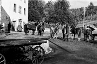 Langnau  um 1930 / Pferdeinspektion beim Alten Schulhaus