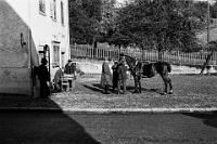 Langnau  um 1930 / Pferdeinspektion beim Alten Schulhaus