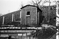 Langnau  um 1935 / Gartenhaus oberhalb des Sonnenheims