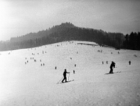Langnau  Albis Wintersport gegen Birrwald, 1933