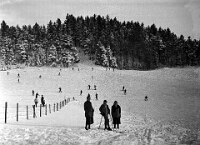 Langnau  Skisport  Oberalbis, 1930