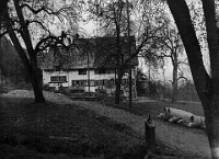 Langnau  Häuser Suter, Gehrig, Näf, O'Rengg 1933