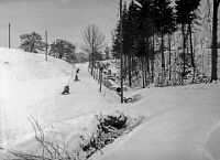 Langnau  Eggwies Schlittweg, Feb. 1934