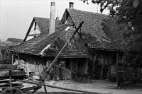 Langnau  Schwerzi Sechthaus & Rossstall, 1947