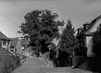 Langnau  Nussbaum Oberdorf,, 1933
