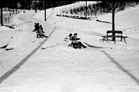 Langnau  1933 / Schülerschlitteln beim Alten Schulhaus