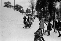 Langnau  1937 / Schülerschlitteln auf der Unterrenggstrasse Langnau