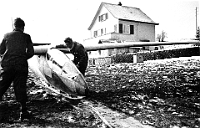 Segelflugbetrieb auf dem Albis  um 1935