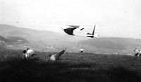 Segelflugbetrieb auf dem Albis  um 1935