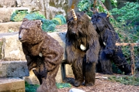 „Albis“, Freilichttheater im Wildpark Langenberg  14. Juni 2004