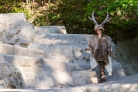 Wildgarten - Orellis Odyssee  Probenfotos im alten Bärengraben Freilichtaufführung zum 150. Jubiläum des Tierpark Langenber