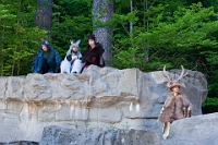 Wildgarten - Orellis Odyssee  Freilichtaufführung zum 150. Jubiläum des Tierpark Langenberg