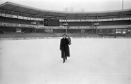 1987 Vogel flieg