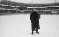 1987 Vogel flieg