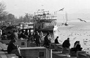 Komedie auf dem Wasser