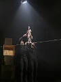 Circus der Träume